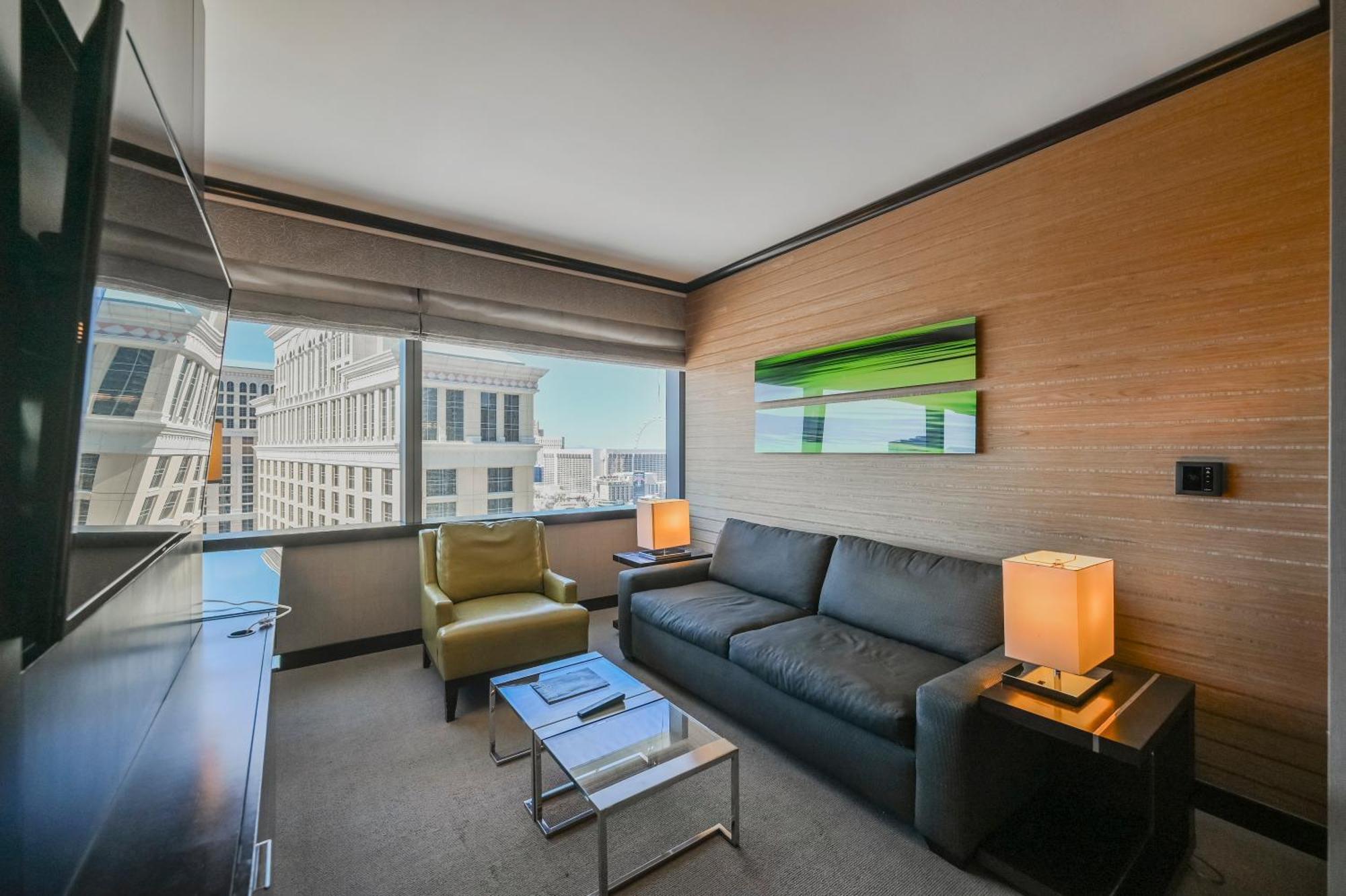 Stripviewsuites At Vdara 拉斯维加斯 客房 照片