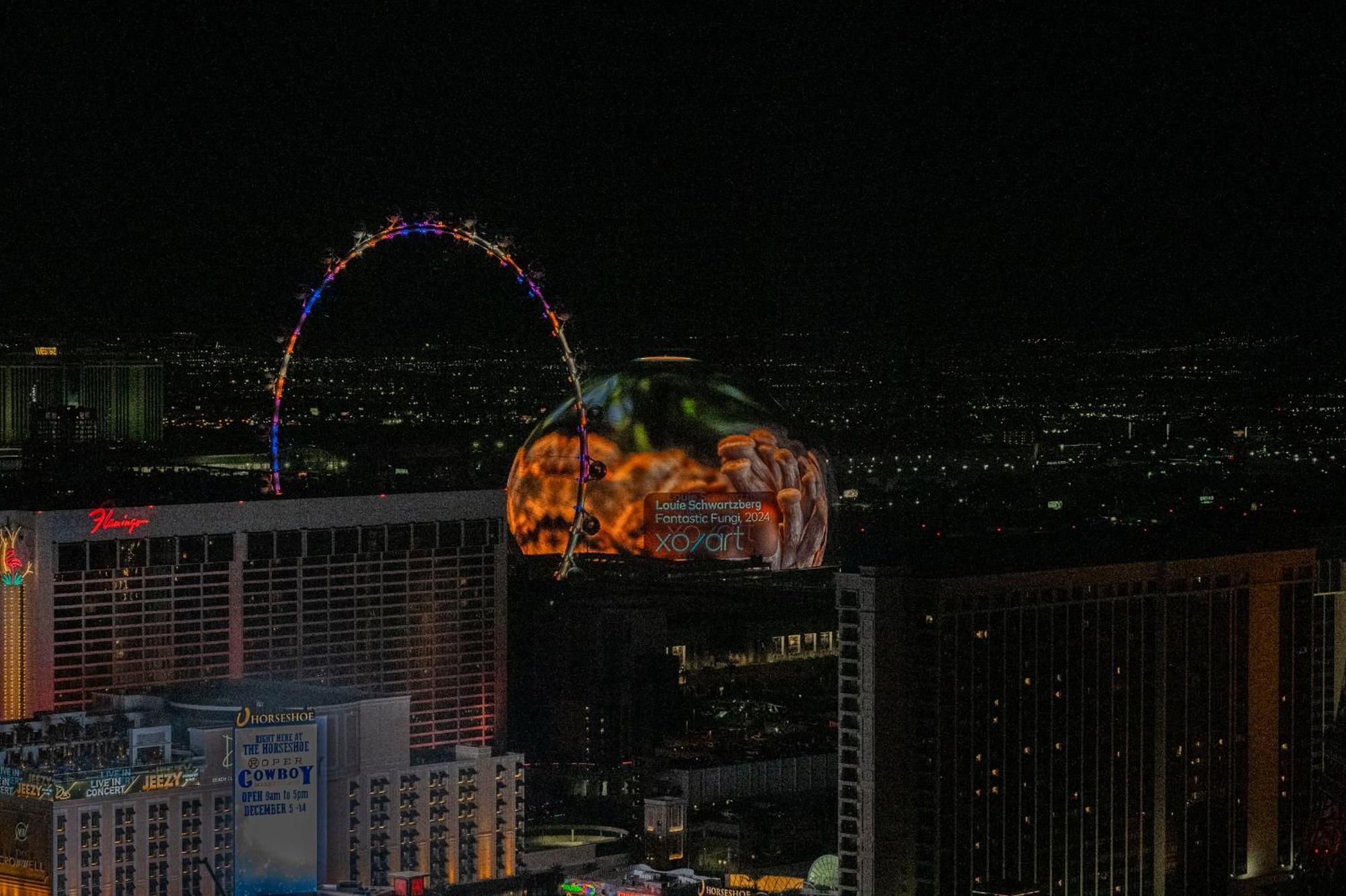 Stripviewsuites At Vdara 拉斯维加斯 外观 照片